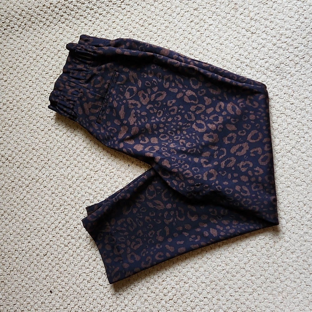 Ann Taylor pant